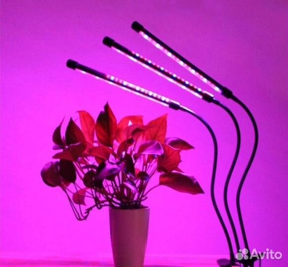 Фито лампа для растений