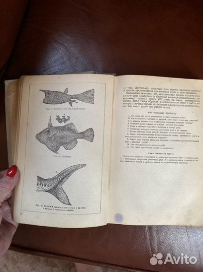 В.К. Солдатов « Промысловая ихтиология» 1934 г