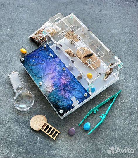 Муравьиная ферма, Формикарий