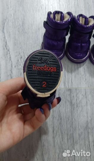 Зимние ботинки для собак