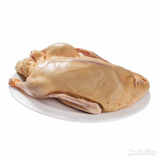 Мясо домашней утки