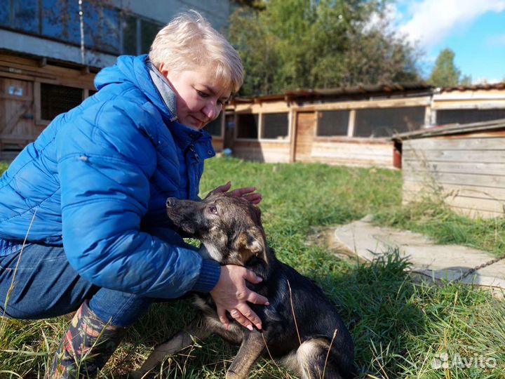 Метис малышка