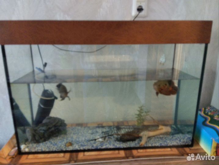 Аквариум