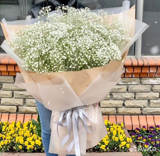 Гипсофила разных цветов