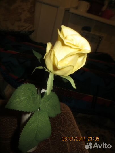 Продам светящуюся розу В темноте. В отличном состо