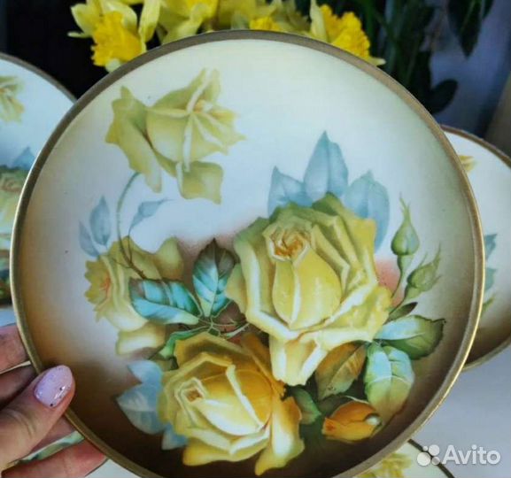 Набор фарфор Thomas Германия