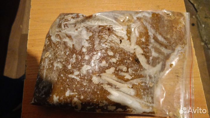 Корм дла аквариумных рыбок замороженный