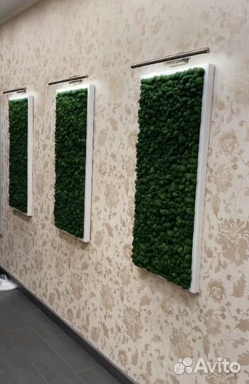 Картины со стабилизированным мхом