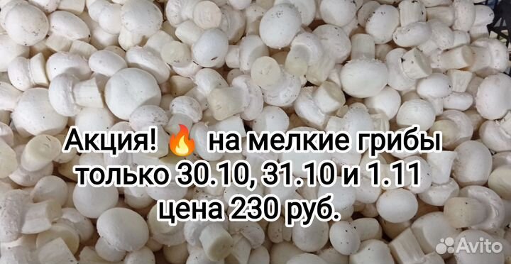 Грибы шампиньоны