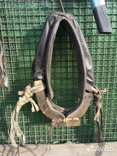 Продам сбруя