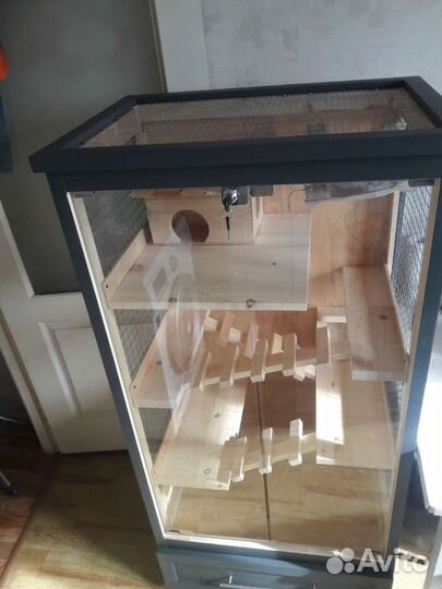 Витрина для шиншилл