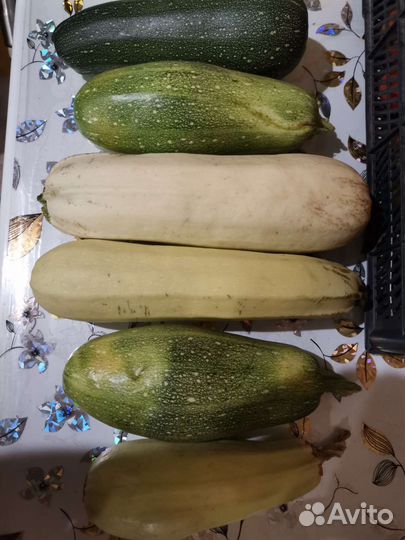 Огурцы и помидоры, кабачки