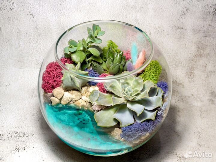 Флорариум из суккулентов с озером