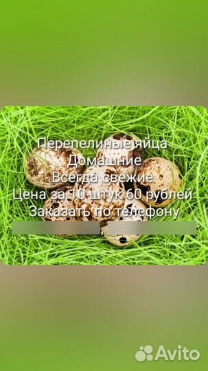 Перепелиные яйца