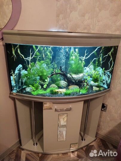 Обслуживание, перезапуск, перевозка аквариумов