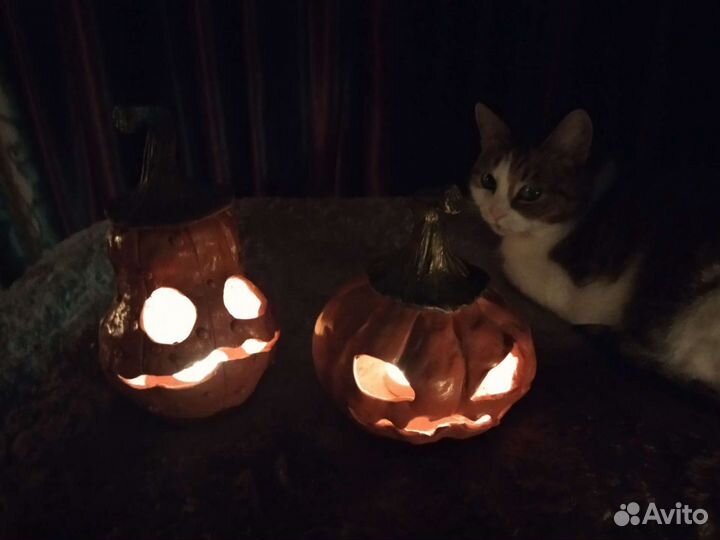 Ночник тыква