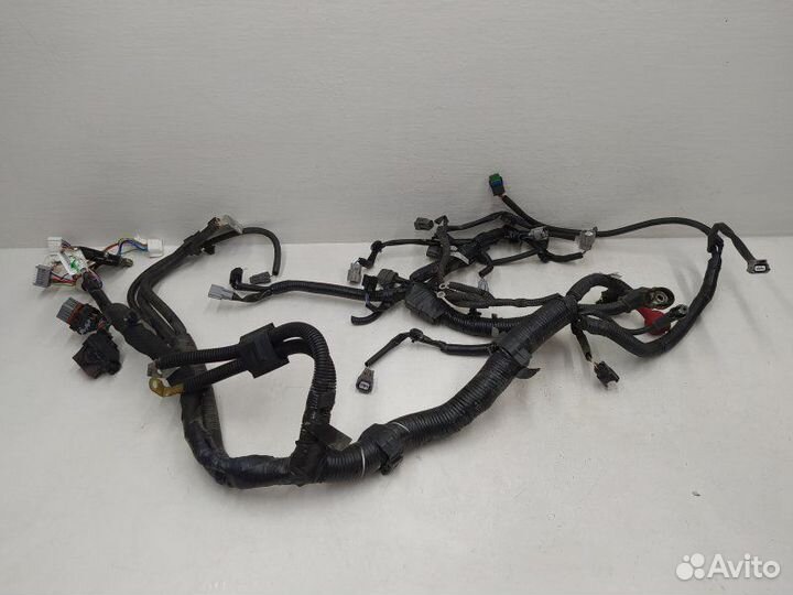 Б/У Б/У Проводка двигателя Европа С двигателя