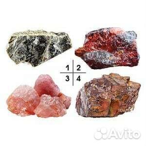 Земля снаружи и внутри. Часть 1. Окружающий мир