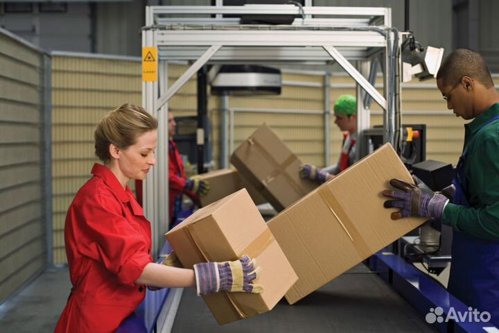 Упаковщики Солнечногорск, Вахта 15/30/3853