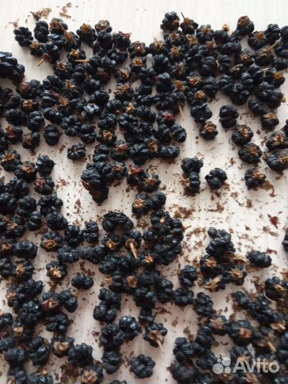 Лаконос американский