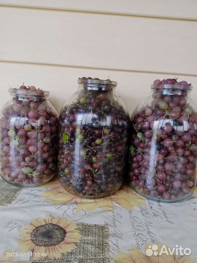 Банки