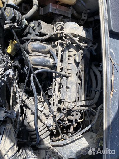 Ford Focus 3 двигатель 1.6 pnda робот ркпп 5bnx