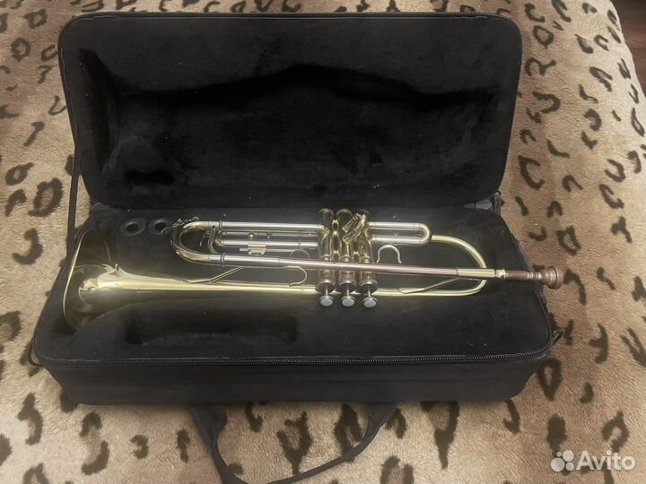 Труба Roy Benson