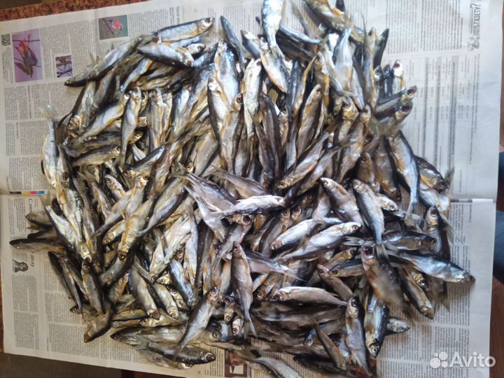 Сигушка(уклейка) вяленая