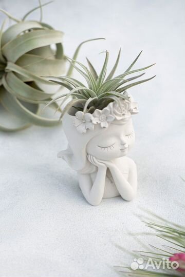 Кашпо для суккулентов, подарок