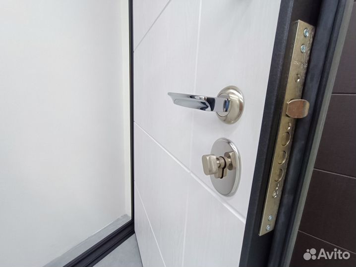 Дверь входная металлическая 