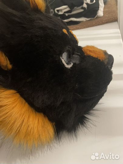 Фурсьют кота