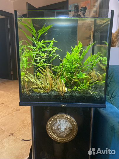 Аквариум с тумбой