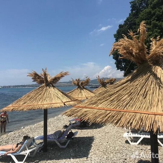 Камышовая кровля