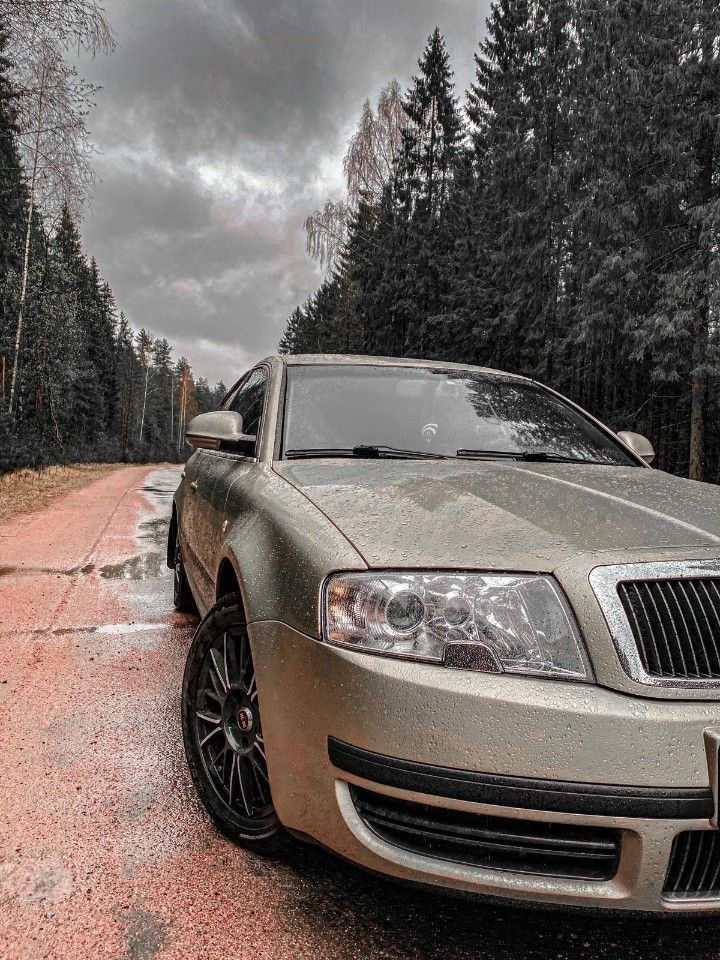 Skoda Superb: фото владельца