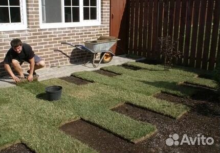 Гидропосев