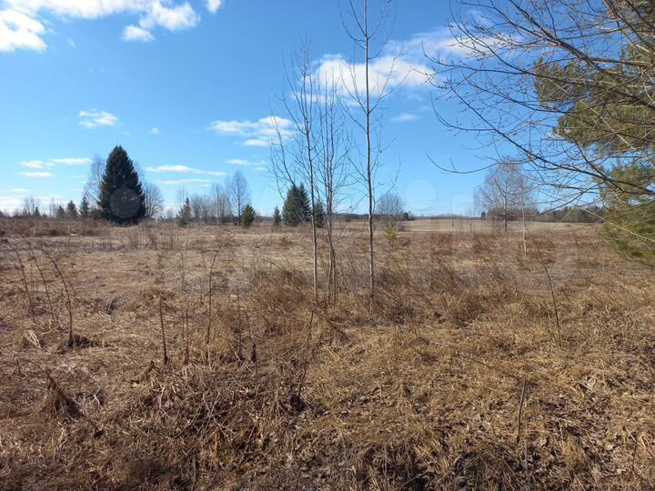 Дом 30 м² на участке 50 сот.