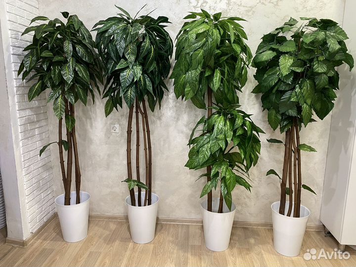 Искусственные цветы, растения, деревья в наличии