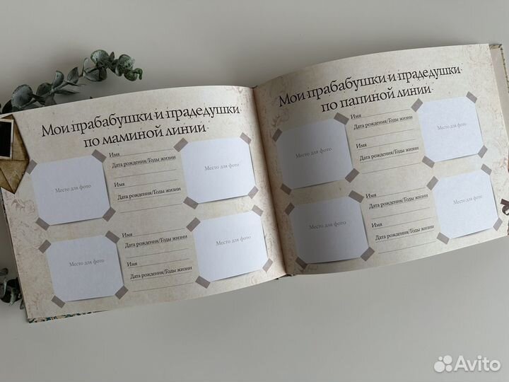 Родословная книга альбом