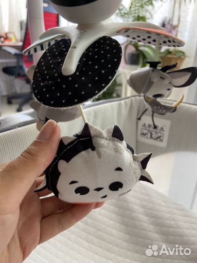 Tini love мобиль