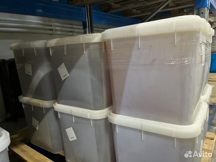 Свежий мёд оптомГречка. Качка 2023г