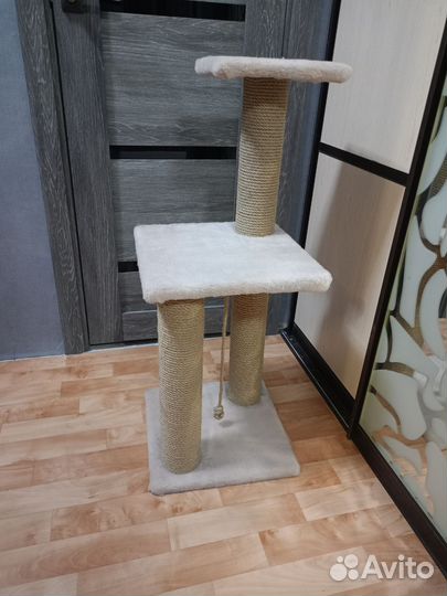 Когтеточка