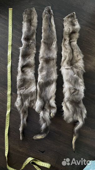 Шкурка животного меха