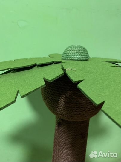 Когтеточка