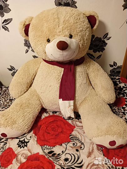 Плюшевый медведь