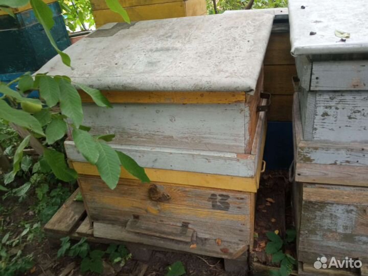 Улей для пчел