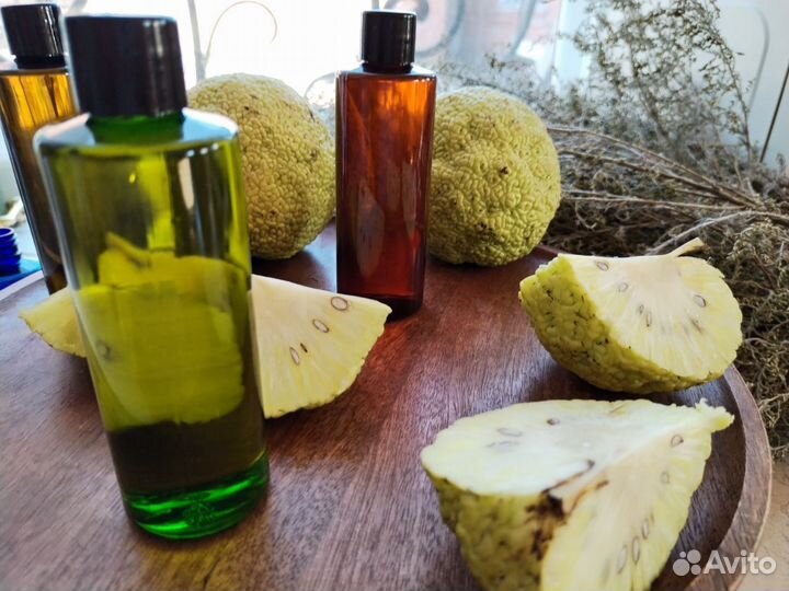 Мазь(Маклюра),лечение подагры,ревматизма и др