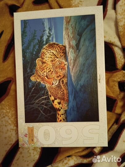 Пазлы 560 деталей