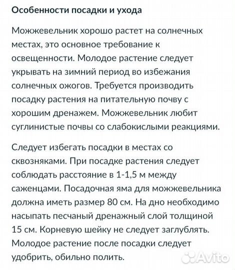 Можевельники разные