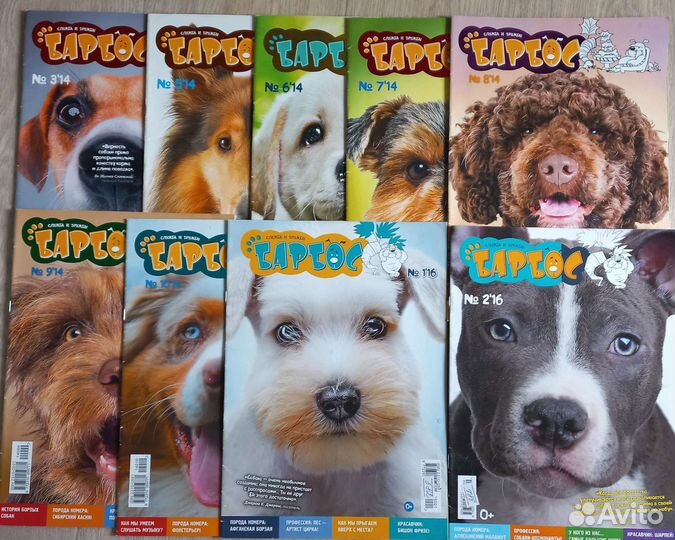 Детские журналы Тошка, Geoлёнок, Барбос, The cat