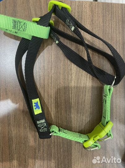 Шлейка для щенка